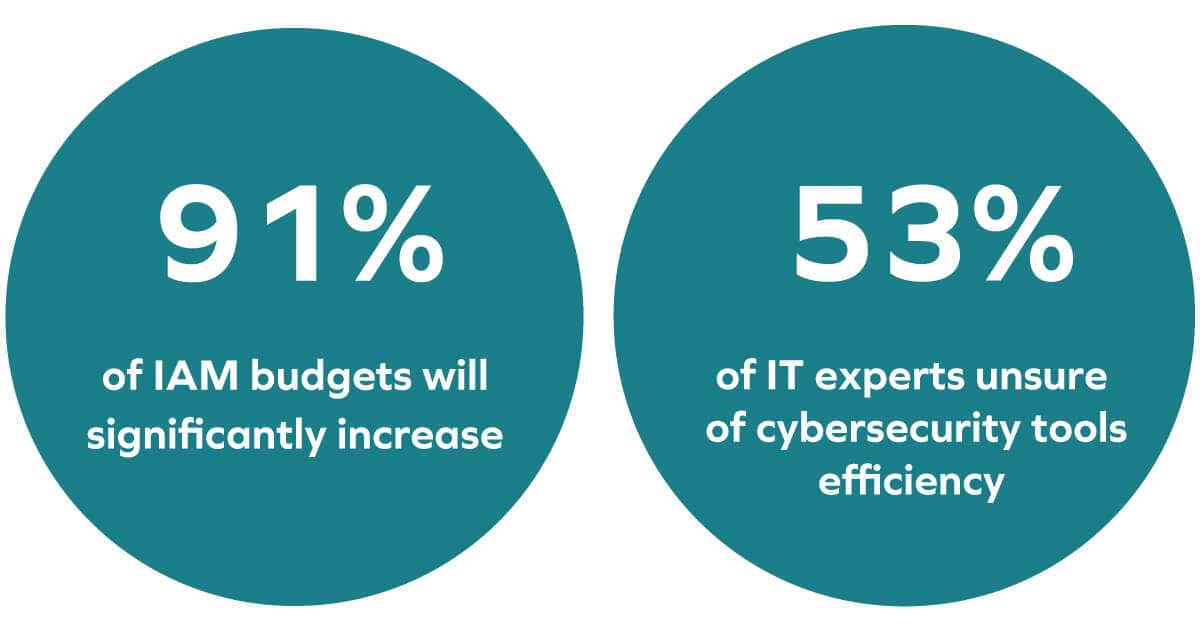Stats on IAM budgets and cybersecurity tools efficiency