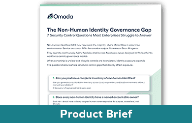 The Non-Human Identity Governance Gap