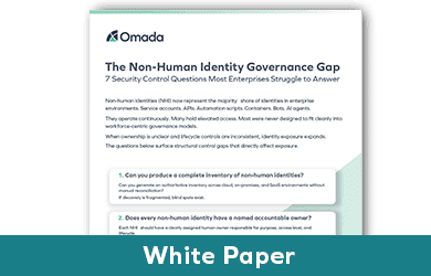 The Non-Human Identity Governance Gap